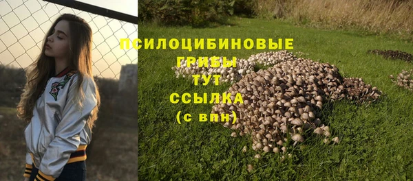 первитин Новодвинск