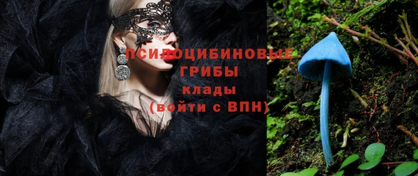 первитин Новодвинск