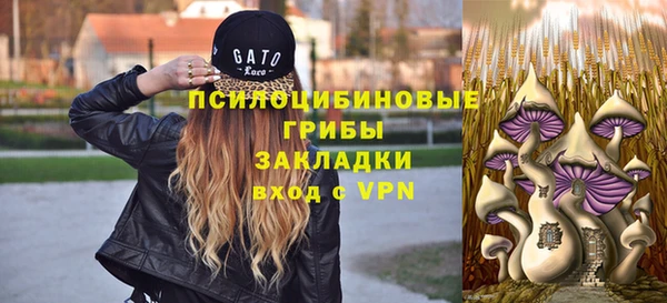шишки Нефтекумск