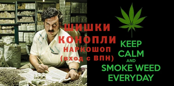 первитин Новодвинск