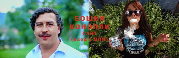 первитин Новодвинск