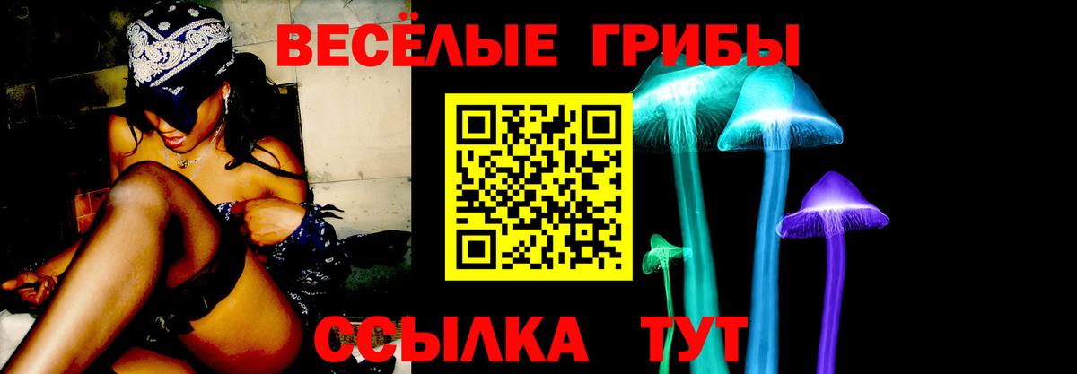 Галлюциногенные грибы Magic Shrooms  Вход с VPN  Балахна 
