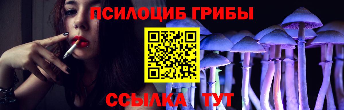 где найти наркотики  Балахна  Псилоцибиновые грибы Cubensis 